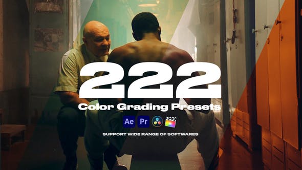 fa869f3bf5a44f77582d3932293cd603-1 Videohive 32902046 Colorify 222 LUTs