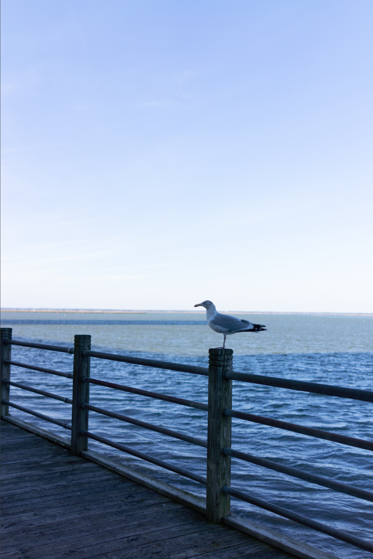 222ab7828fa2097684aefd9b48e36d5b 222ab7828fa2097684aefd9b48e36d5b