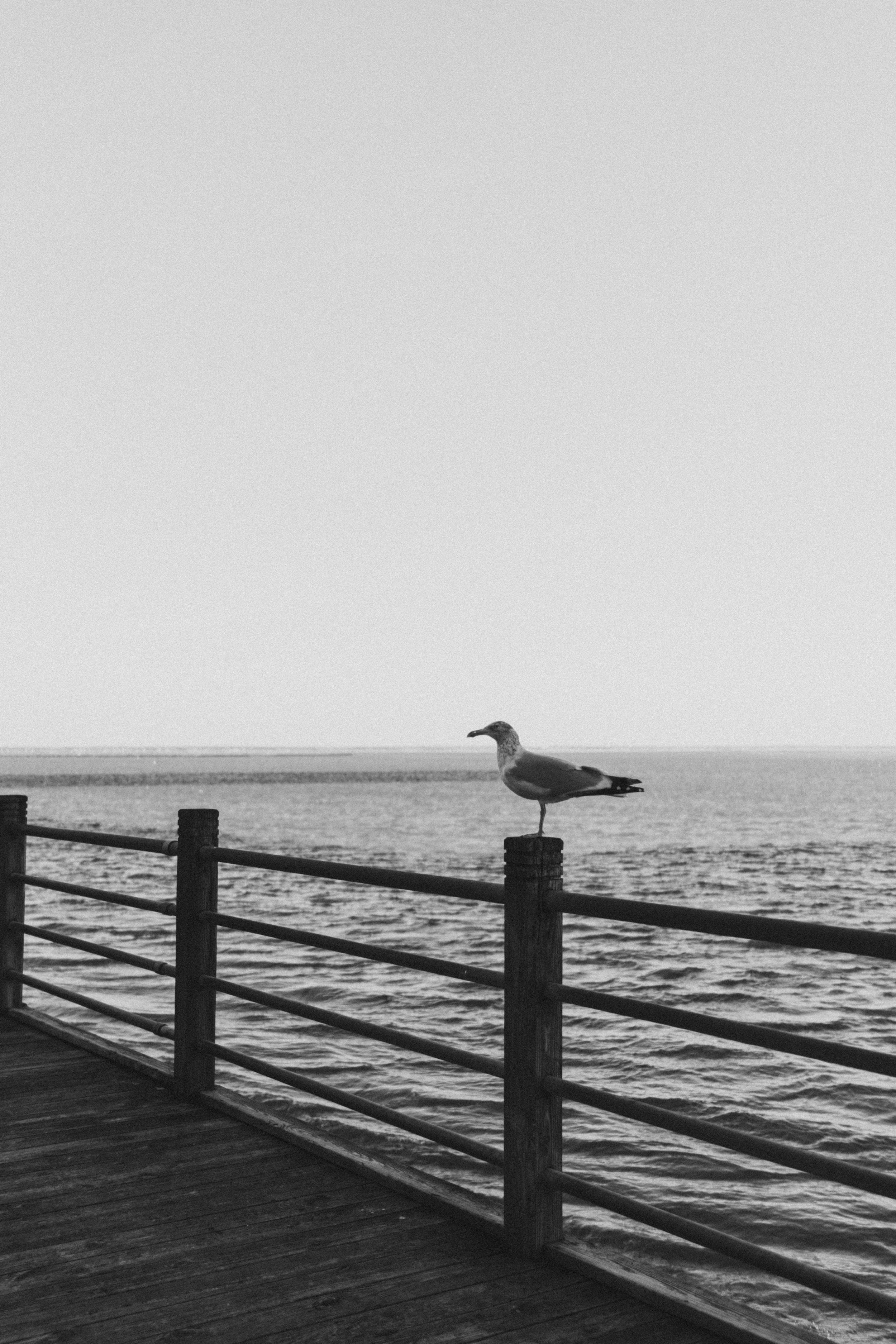 526f2430c003df0b41222258a2d316e0 526f2430c003df0b41222258a2d316e0