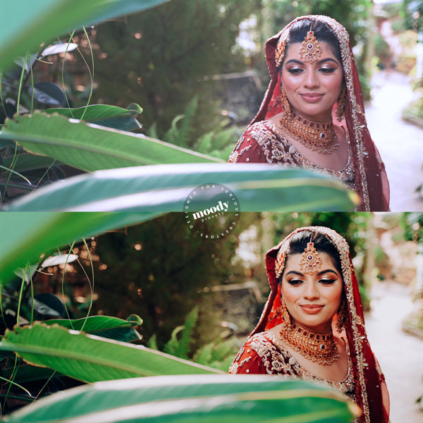 高级婚礼LUTs视频调色合集 66款PR/FCP/DaVinci浪漫电影级滤镜包