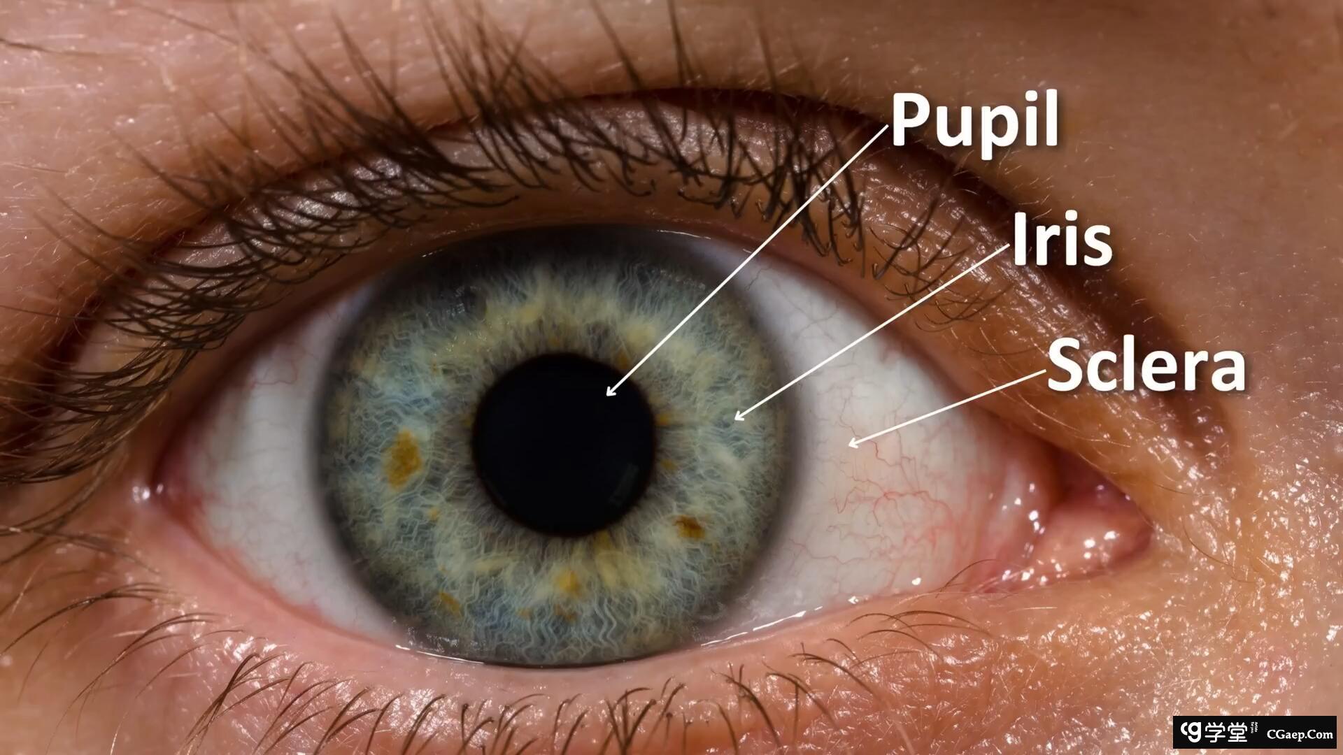 21553d3a92916c15fc021a527377a0f0 21553d3a92916c15fc021a527377a0f0