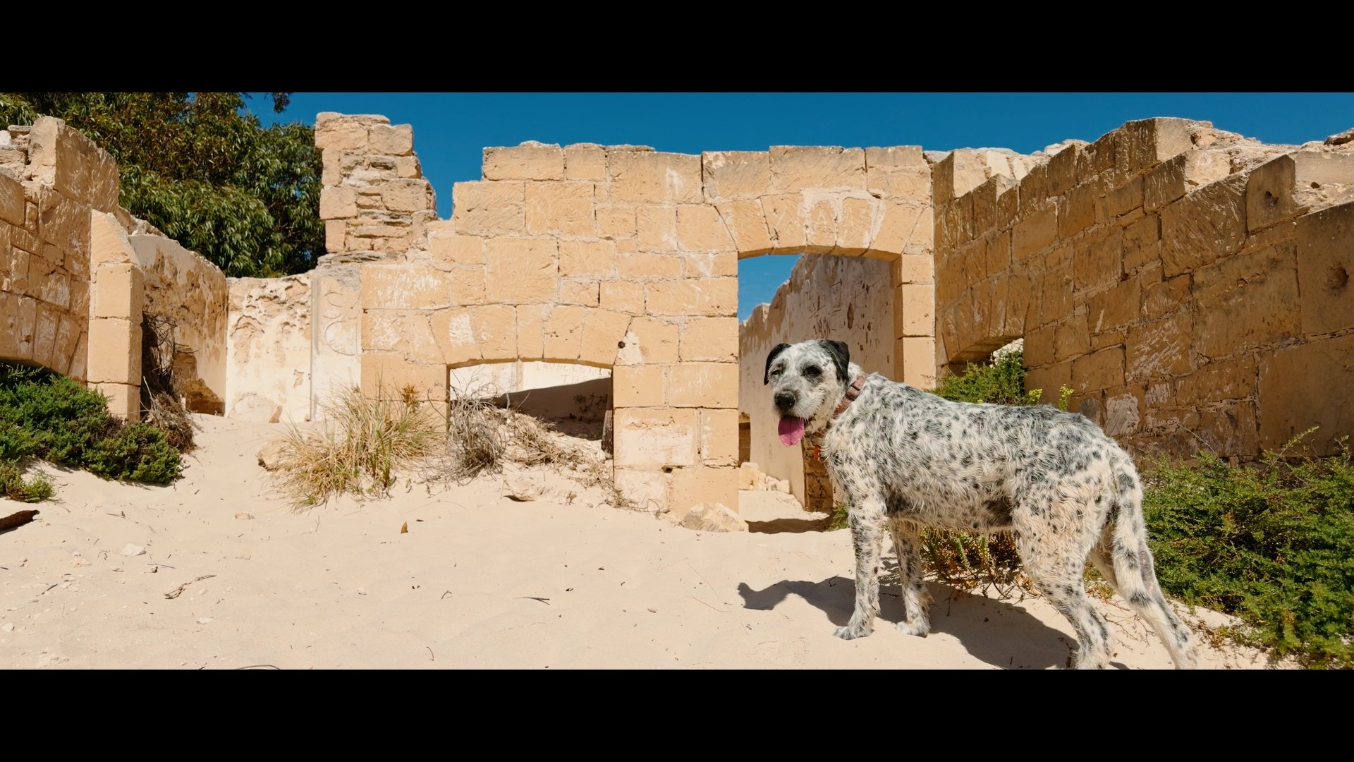 24de7f63e903047231d4ac73d345c4da