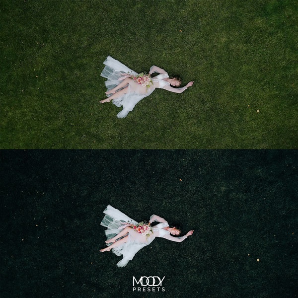 高级婚礼LUTs视频调色合集 66款PR/FCP/DaVinci浪漫电影级滤镜包