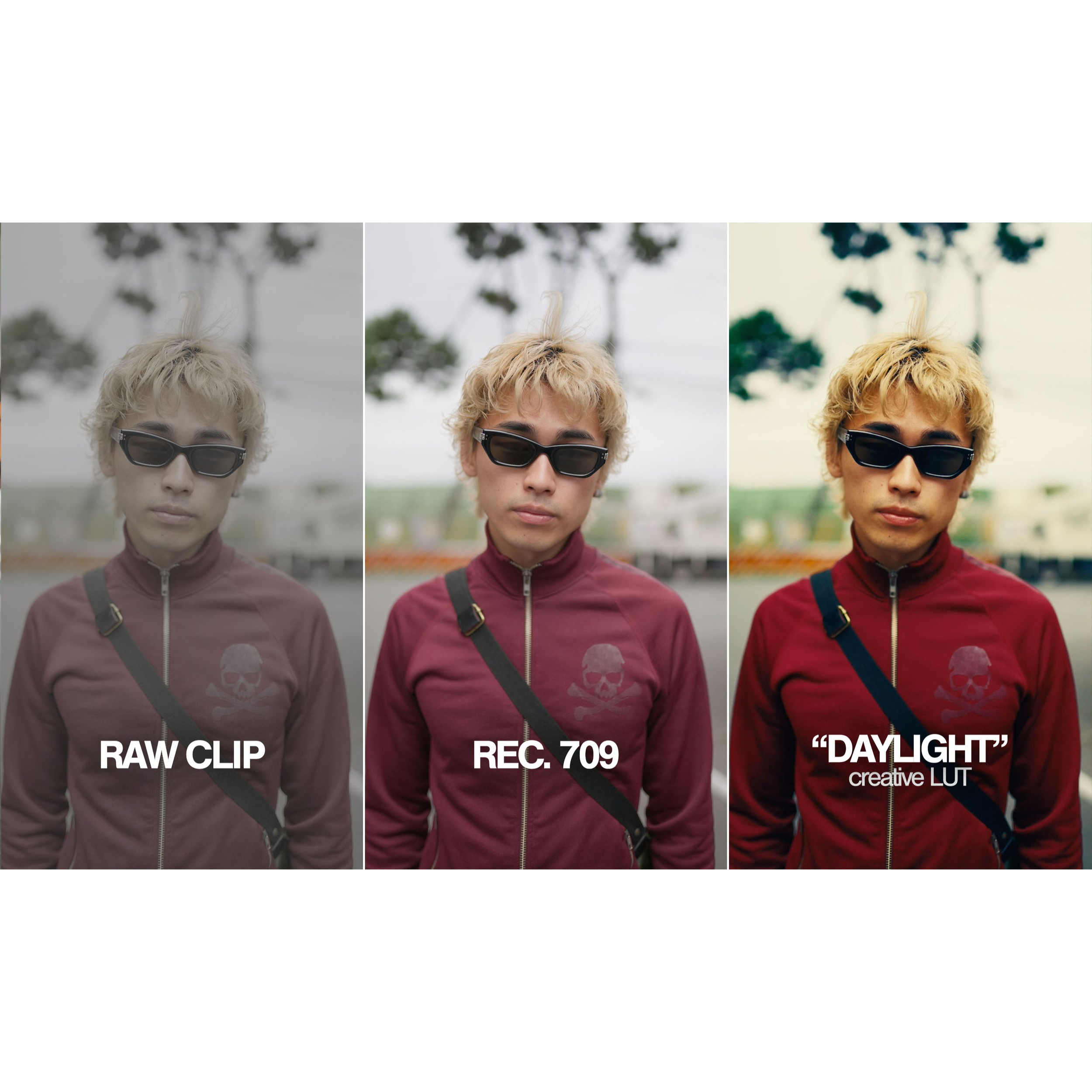 2edfb221ea479bb7667d8d7aff4ef40a