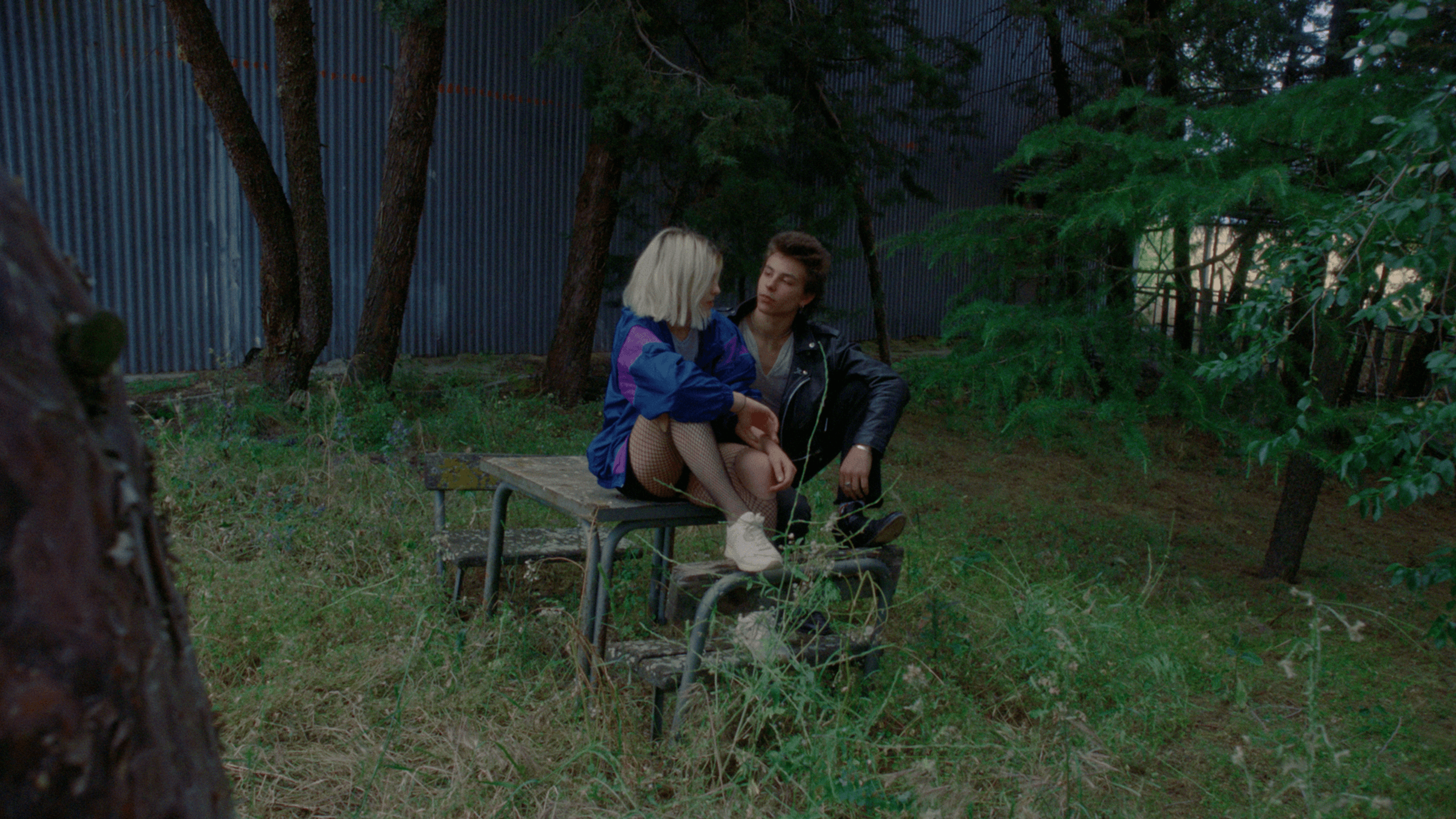 FilmVision Pro 1.1电影级调色预设 专业柯达富士胶片模拟达芬奇节点与LUT插图 FilmVision Pro 1.1电影级调色预设 专业柯达富士胶片模拟达芬奇节点与LUT