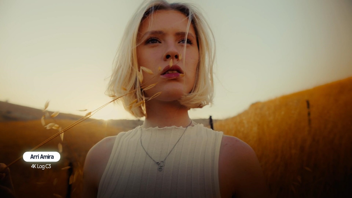 449fba25d698c6ce7f79e12cd9395bd4