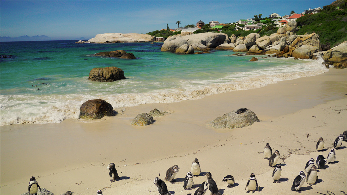 532325c4456e488d4326316bc4dda8eb