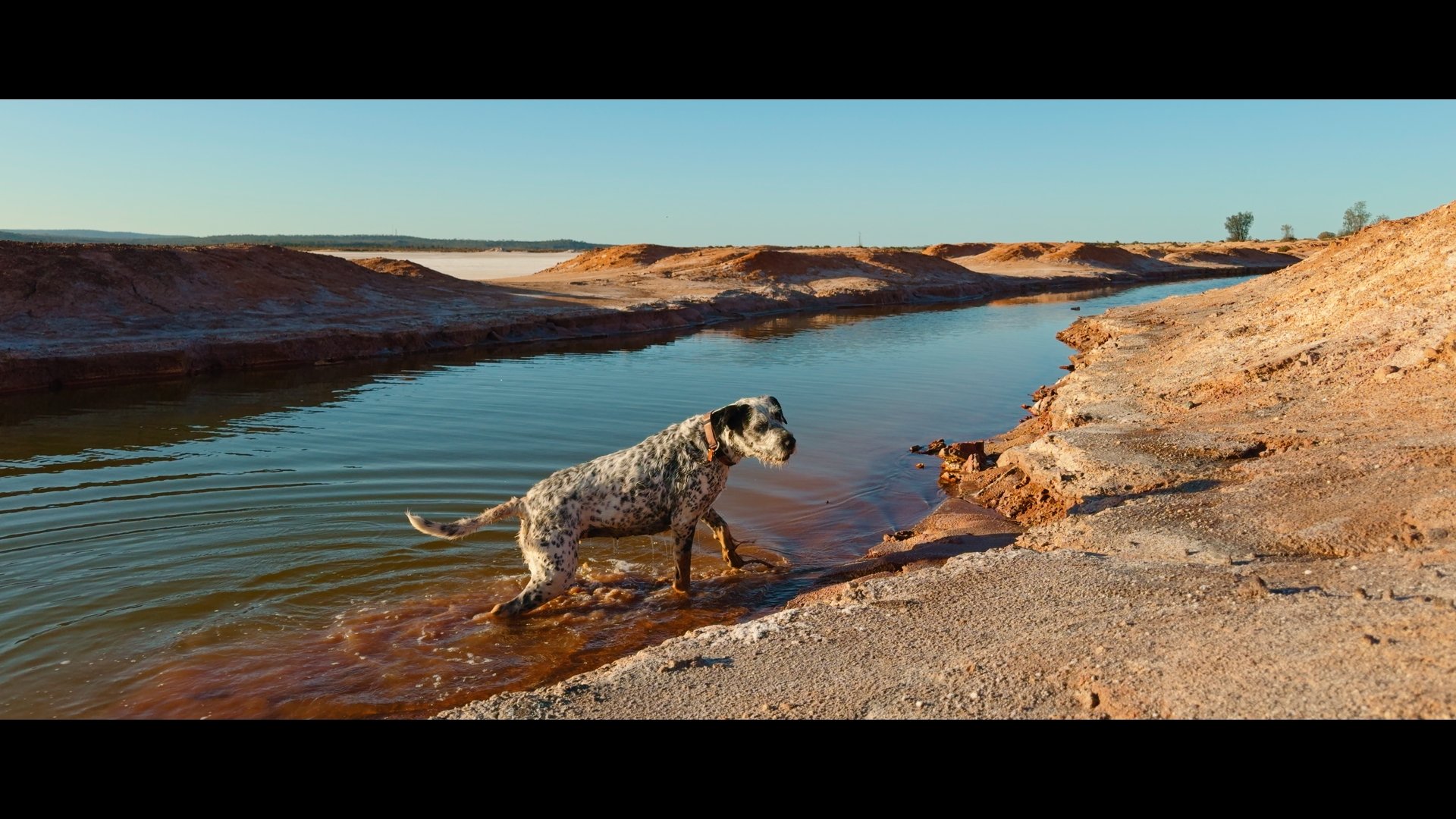 648a431782a209ec761403046c0e5e39