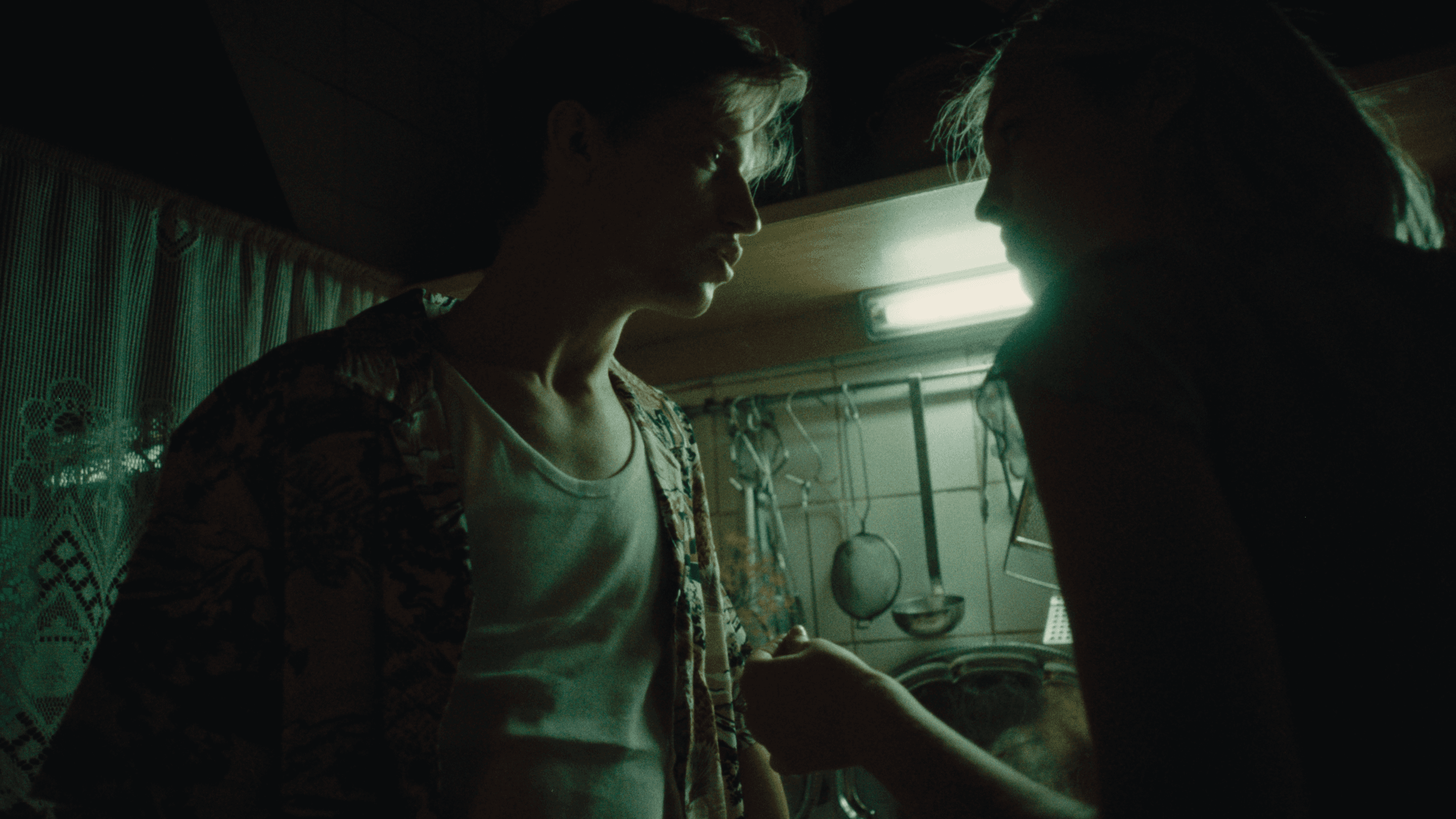 FilmVision Pro 1.1电影级调色预设 专业柯达富士胶片模拟达芬奇节点与LUT