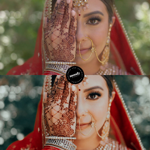 高级婚礼LUTs视频调色合集 66款PR/FCP/DaVinci浪漫电影级滤镜包