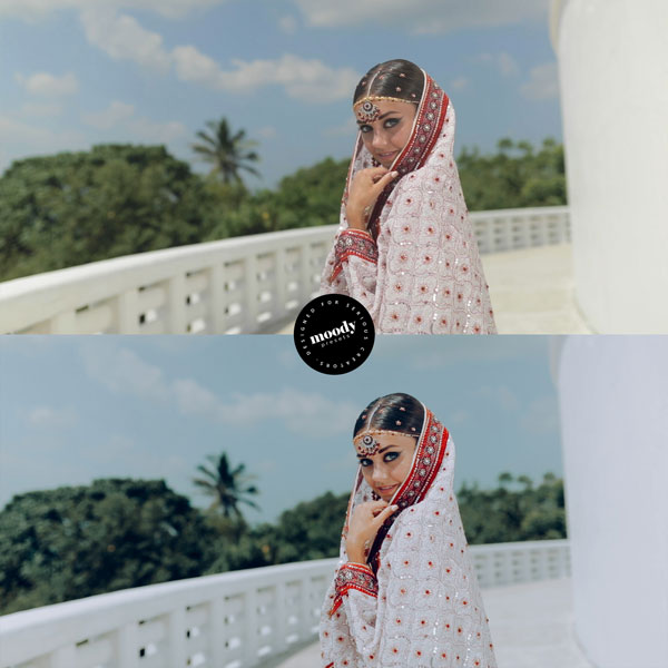 高级婚礼LUTs视频调色合集 66款PR/FCP/DaVinci浪漫电影级滤镜包