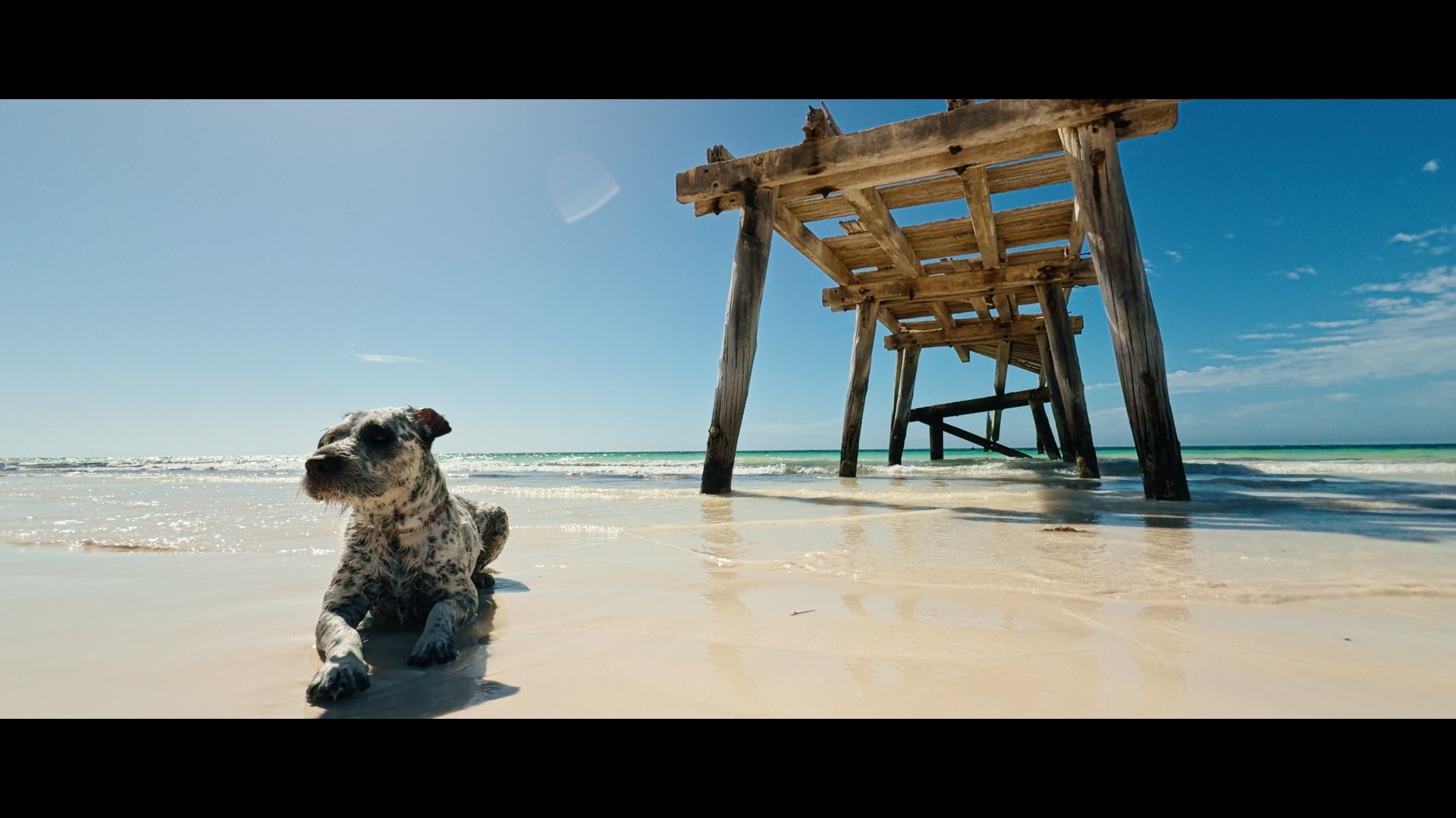 a92a6241e9e6d03717f4cda77905f7b1