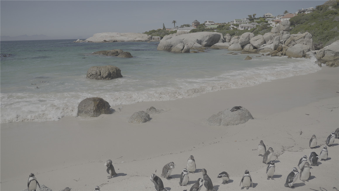 bdc99f6a2fc46da0966cb8853c59a58e