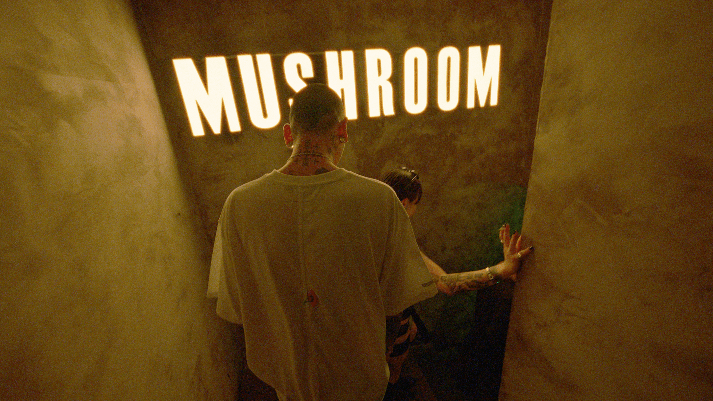 FilmVision Pro 1.1电影级调色预设 专业柯达富士胶片模拟达芬奇节点与LUT