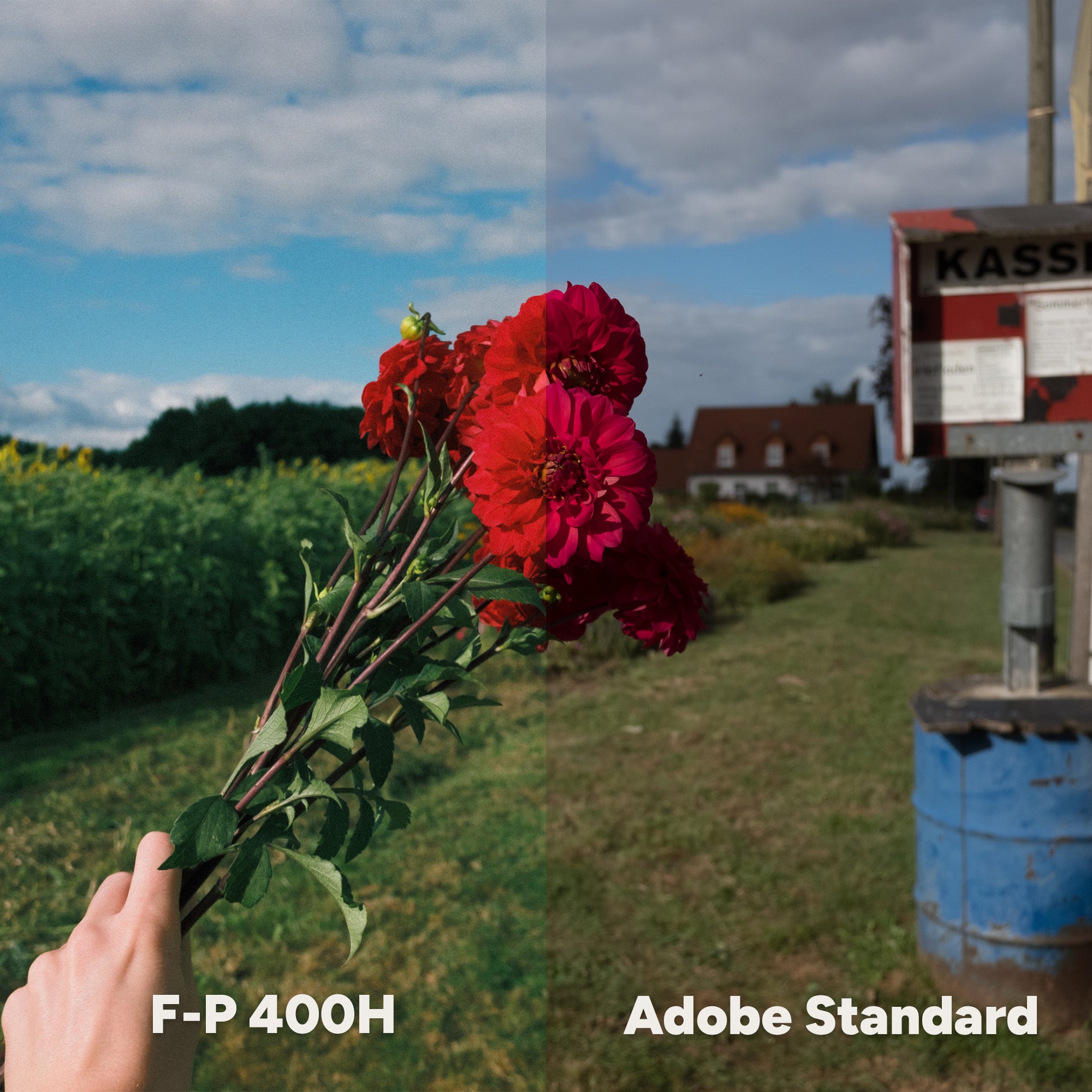 柯达Portra富士400H胶片模拟LR预设 人文扫街人像风光摄影后期调色包Lumenaryvision – ANALOG VISION STUDIO – Presets插图6