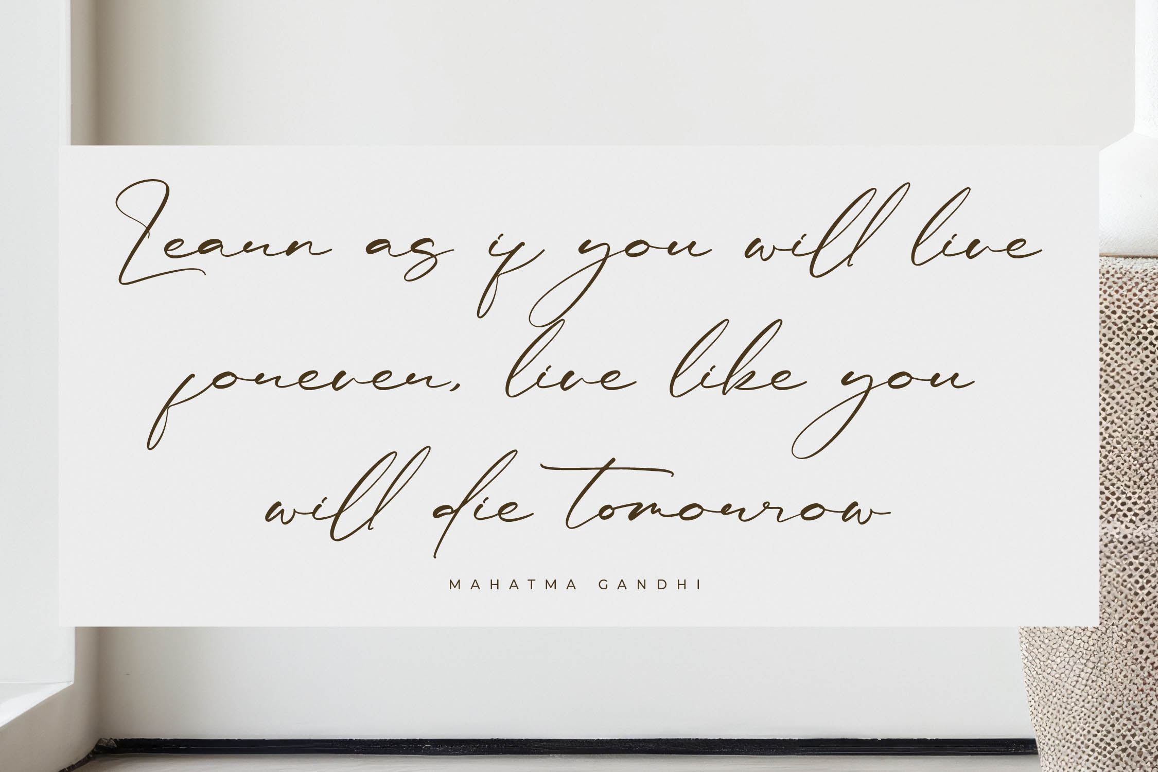 Rulligedro现代草写字体奢华手写体 高端品牌标志设计微商水印字体手写风格字体 Modern Calligraphy Script