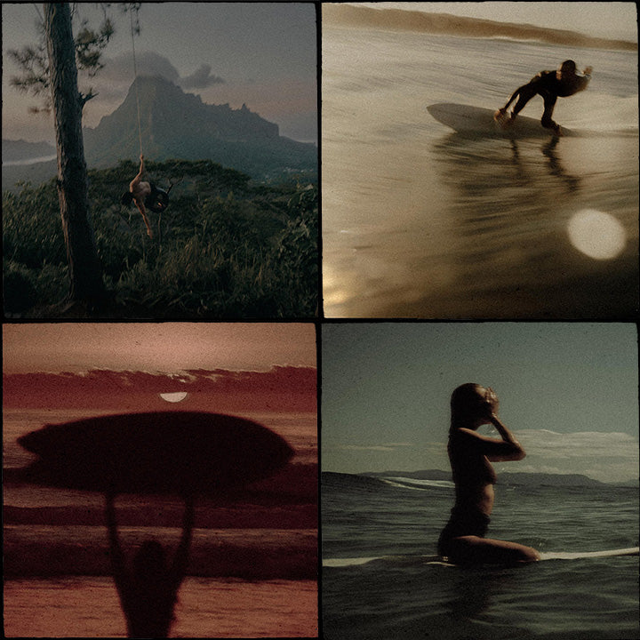 050e3e4cf8196d006c198b06d022e268