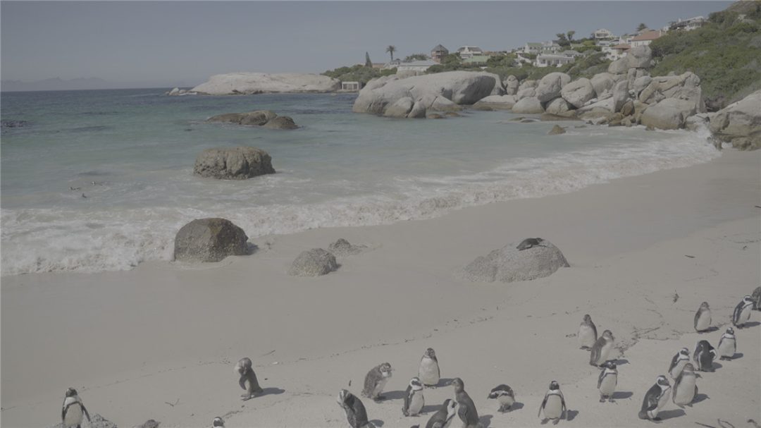 08555a7281e1e1c4d915b2c80fc4939a