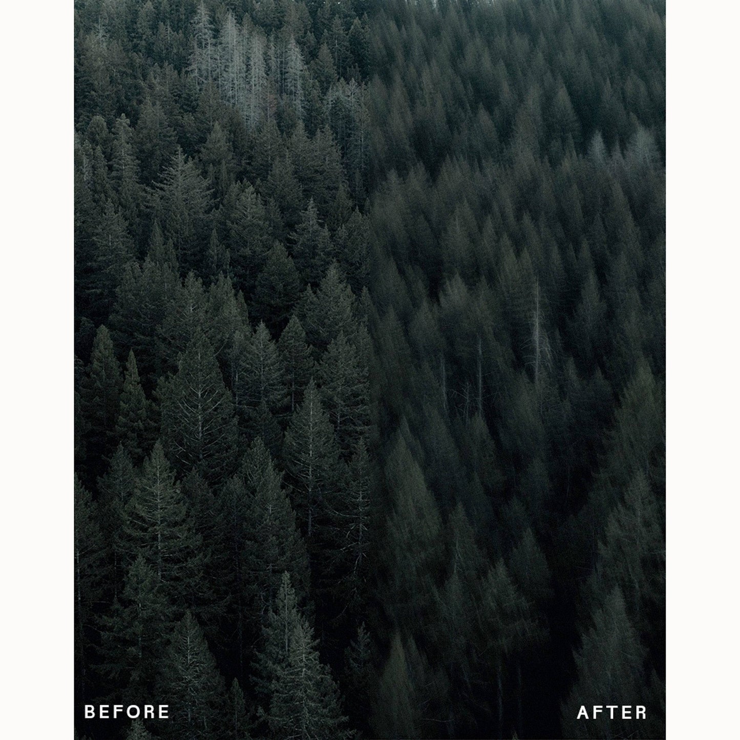 1669049fb3a78b27cd3dca77ef36682b