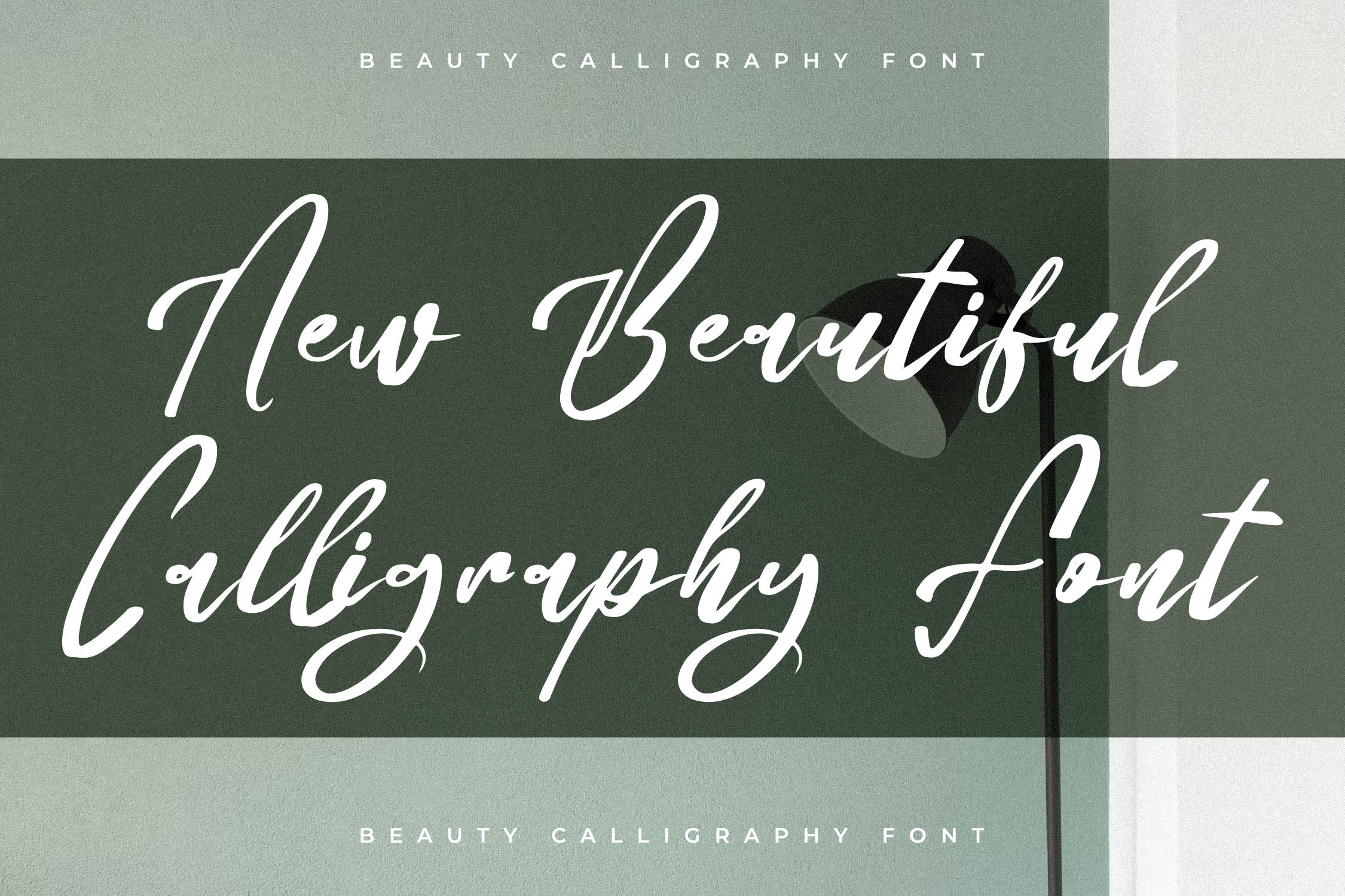 Lucid Daisy可爱优雅手写字体 美妆书法风格字体包otf/ttf