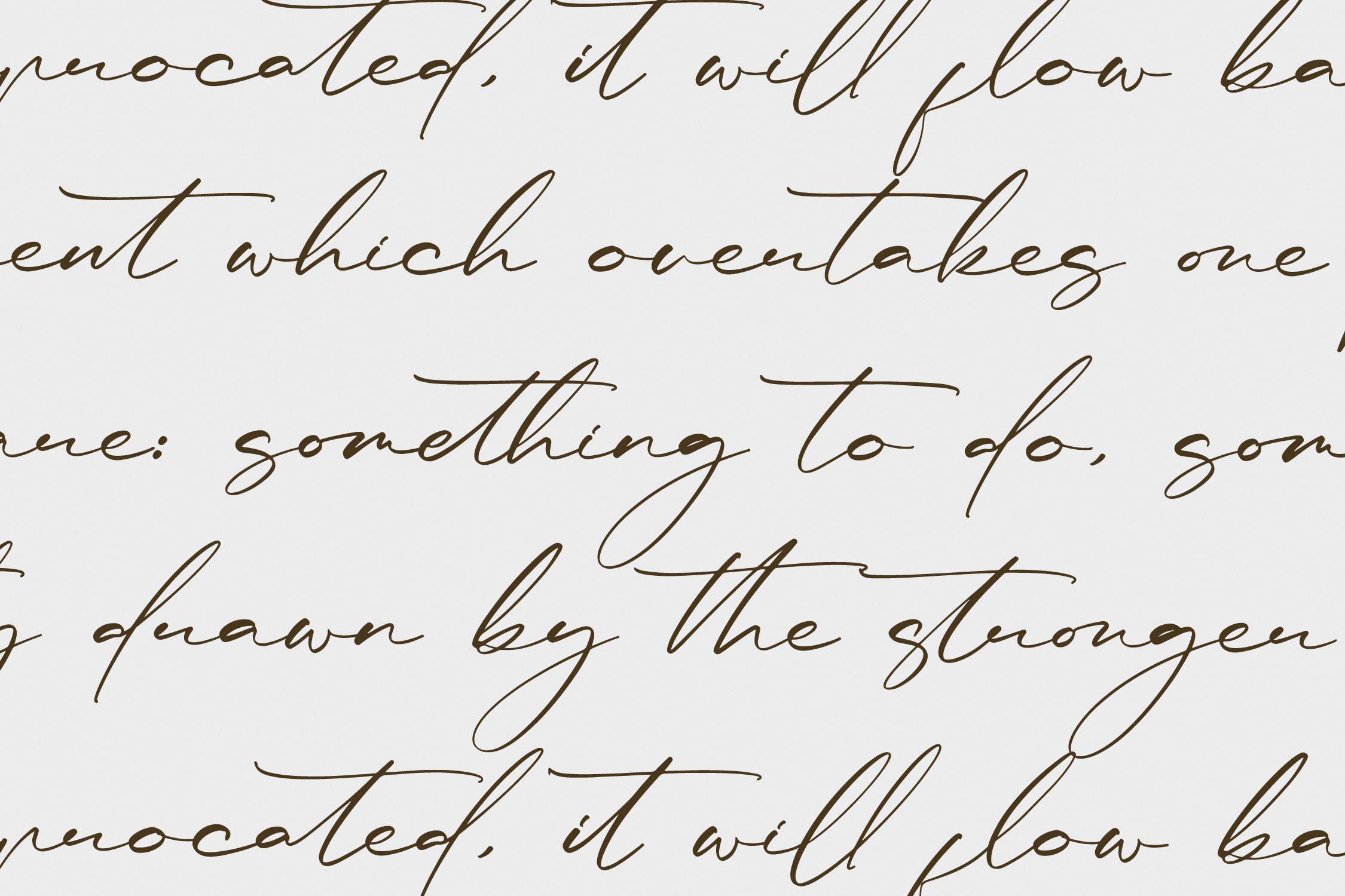 Rulligedro现代草写字体奢华手写体 高端品牌标志设计微商水印字体手写风格字体 Modern Calligraphy Script