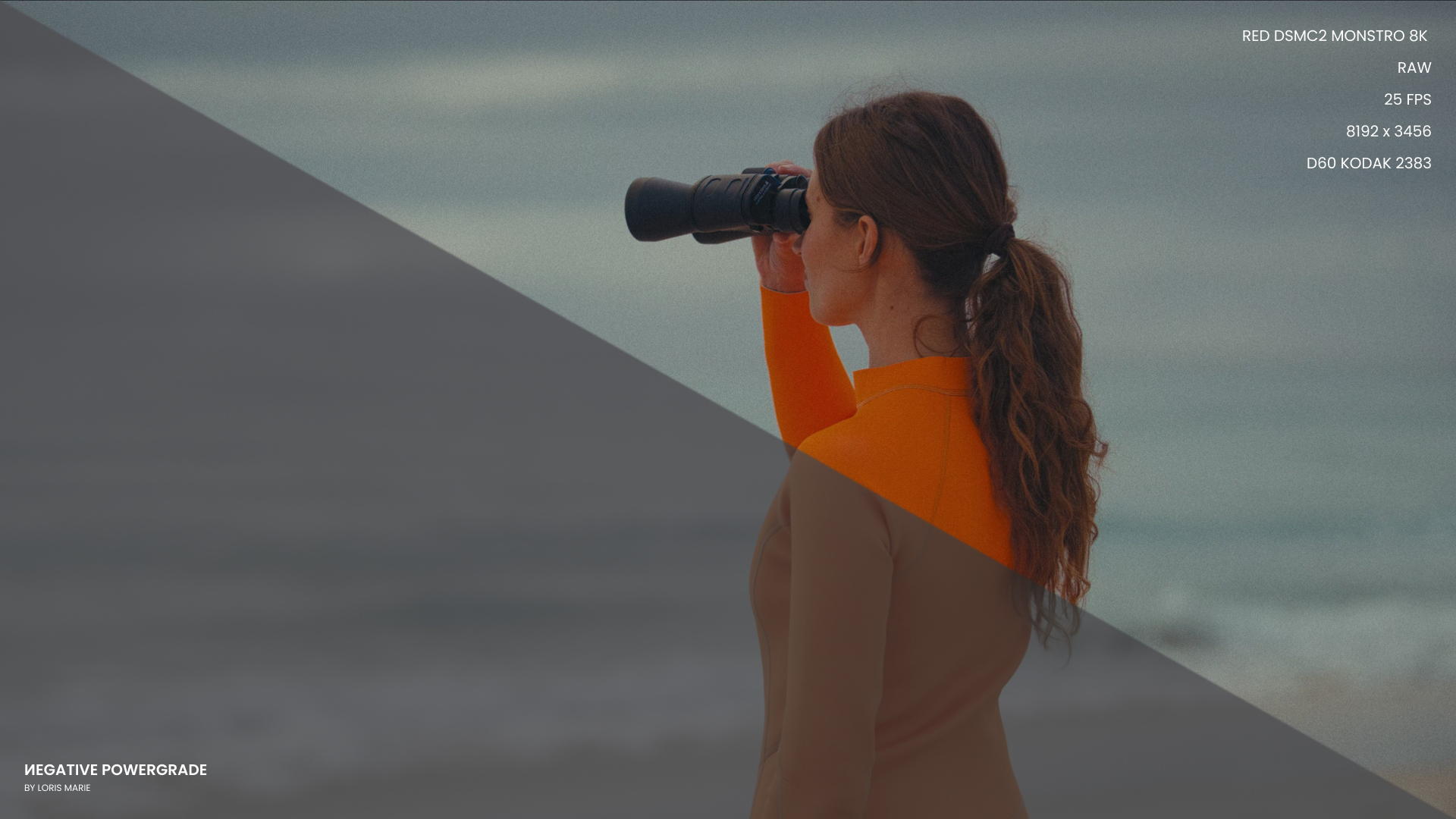 Negative Powergrade 多品牌相机兼容柯达5219胶片模拟预设 Loris Marie达芬奇调色节点专业电影LUT