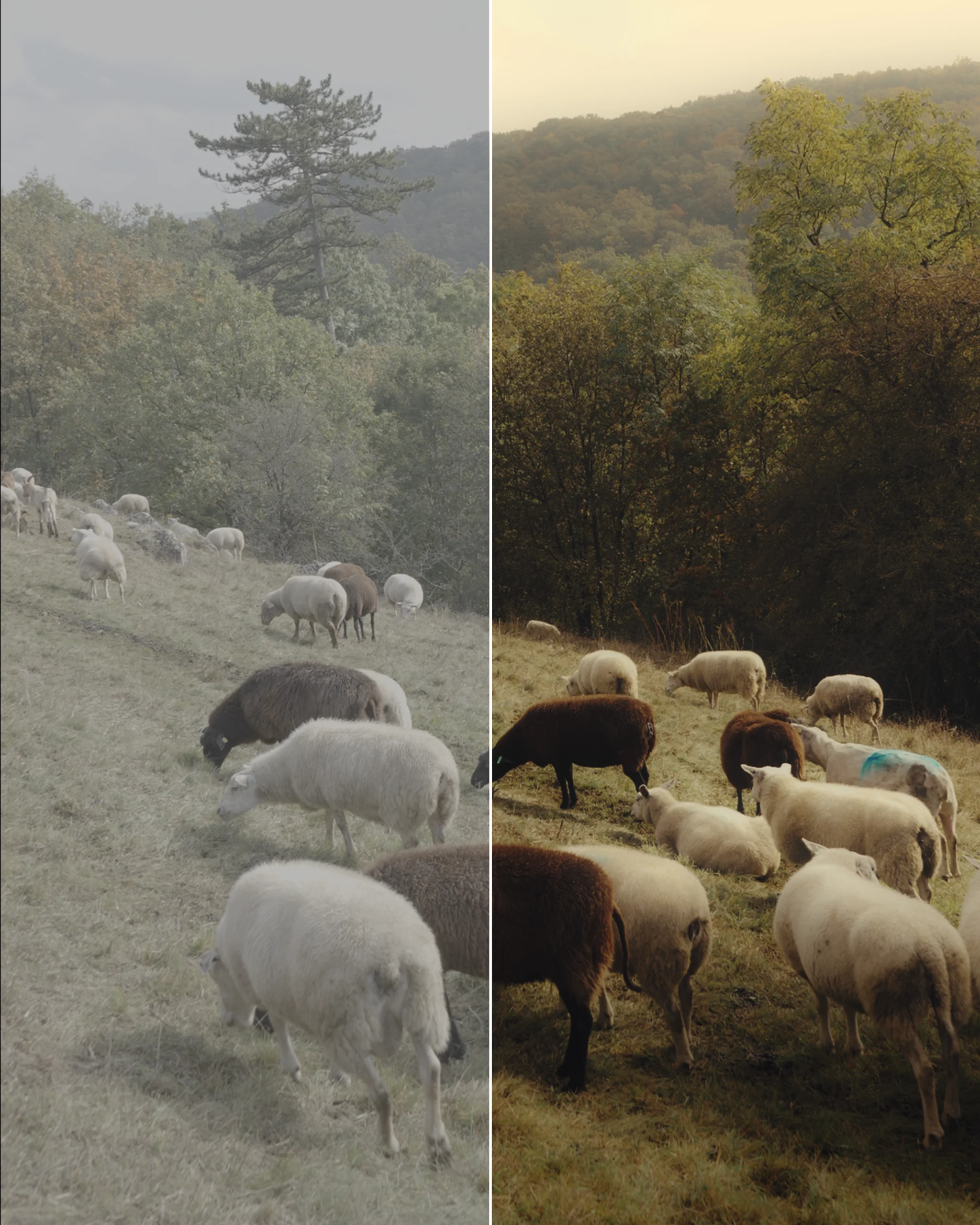 503b825c66267f231b4e188fb31bd161