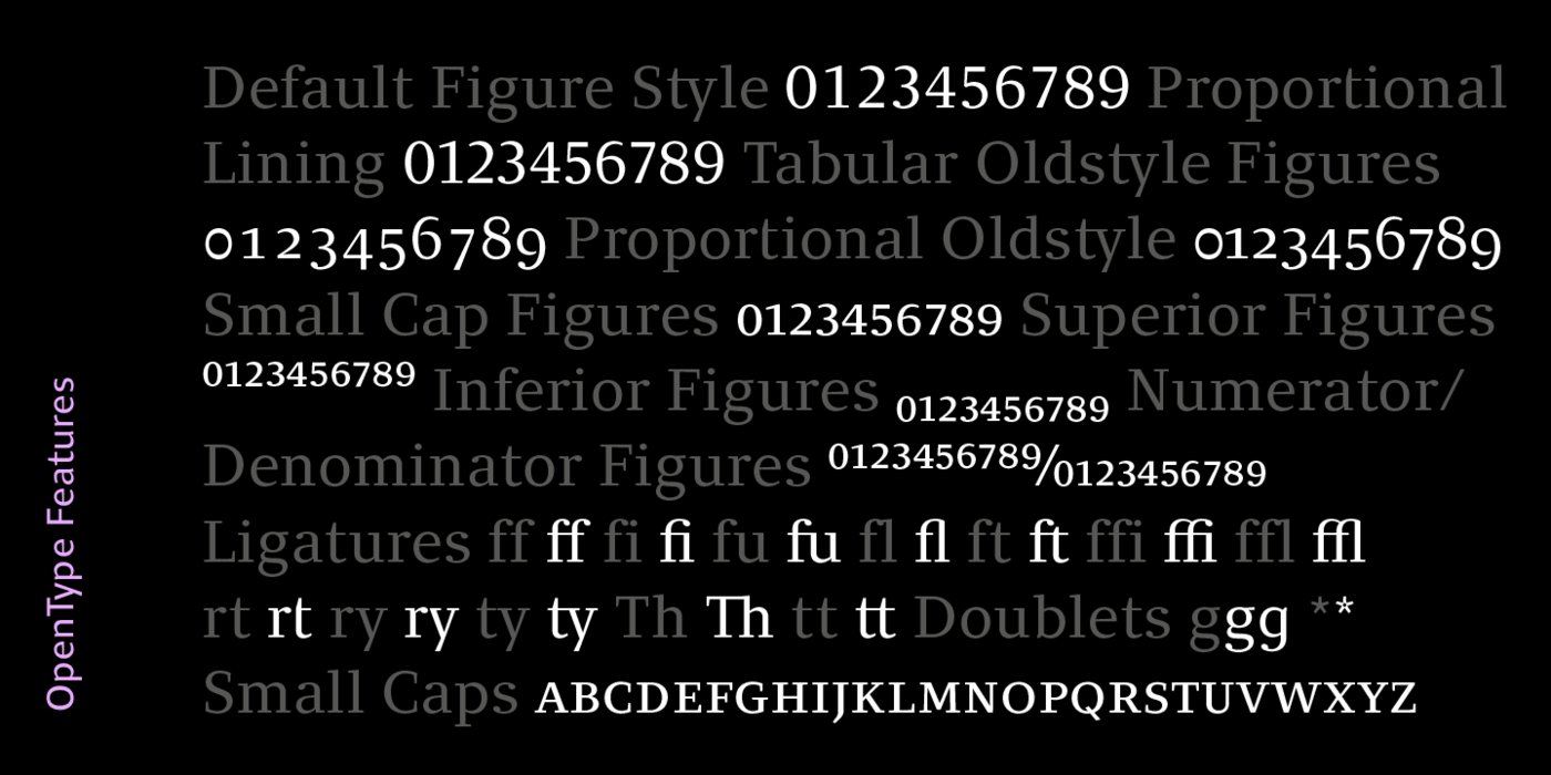 Clara Sans Serif字体家族30款OTF 商业设计多语言排版衬线无衬线组合字体库