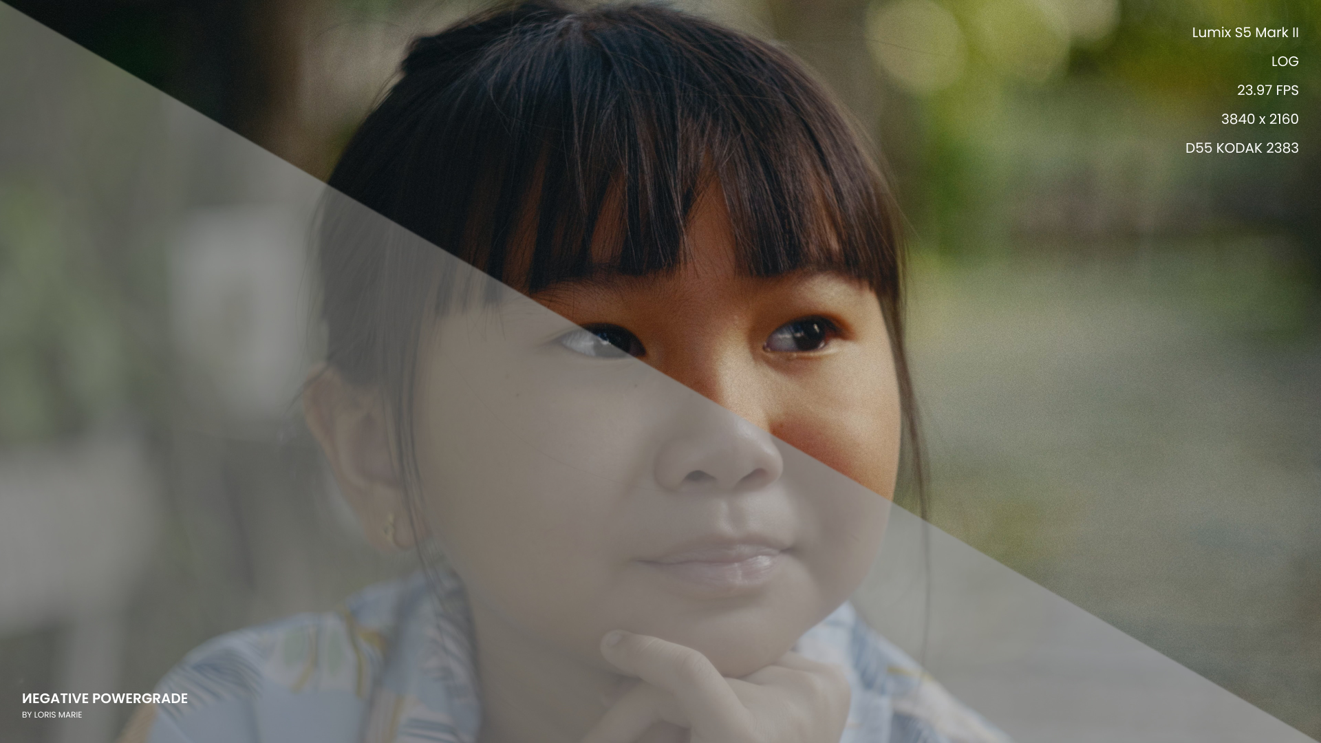 Negative Powergrade 多品牌相机兼容柯达5219胶片模拟预设 Loris Marie达芬奇调色节点专业电影LUT