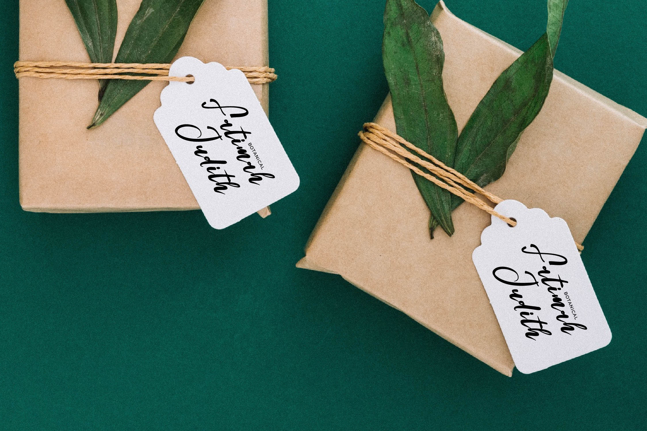 Lucid Daisy可爱优雅手写字体 美妆书法风格字体包otf/ttf