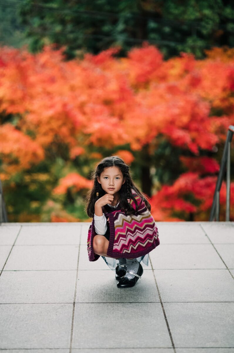 AlikGriffin Core Color V3 Lightroom专业胶片模拟预设 柯达富士风格多版本调色工具包