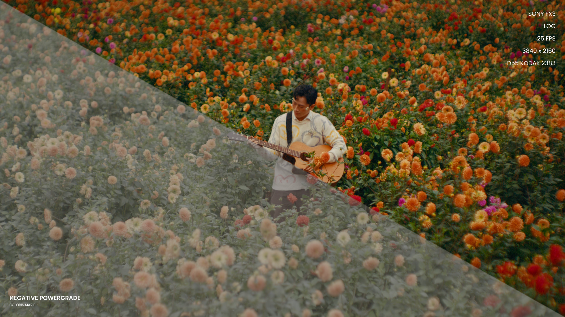 Negative Powergrade 多品牌相机兼容柯达5219胶片模拟预设 Loris Marie达芬奇调色节点专业电影LUT