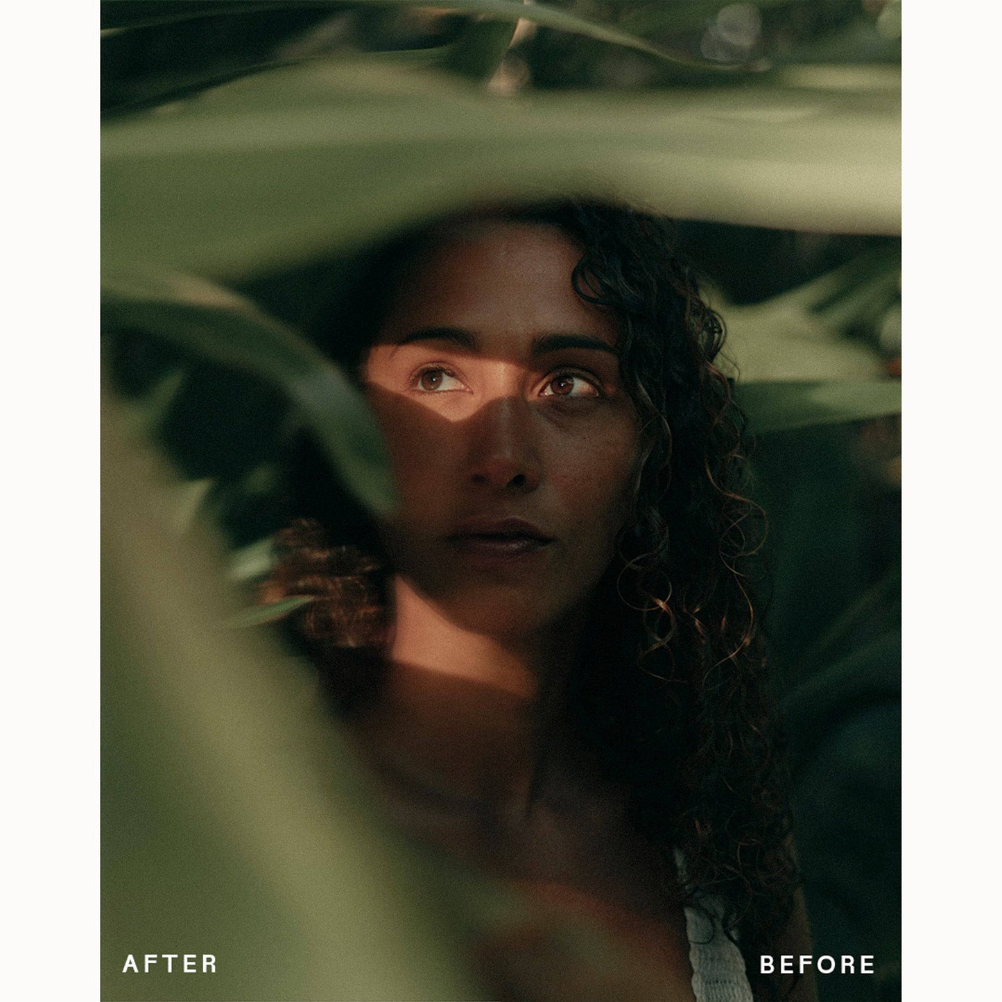 d8ab22c5e4f055e59216cf6230b76b31