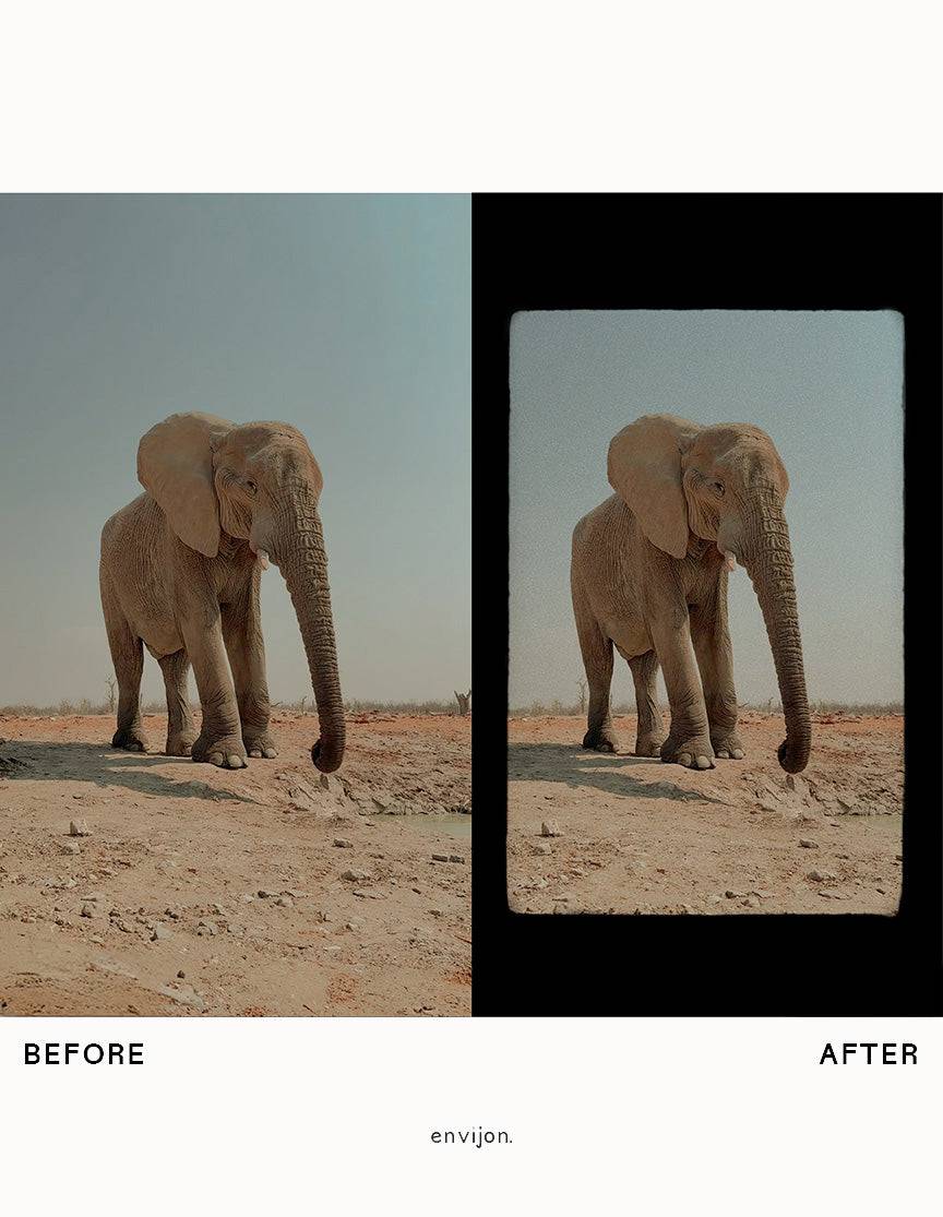 d8e6b0bfe8a197c3f95a0ac4cb572fa3