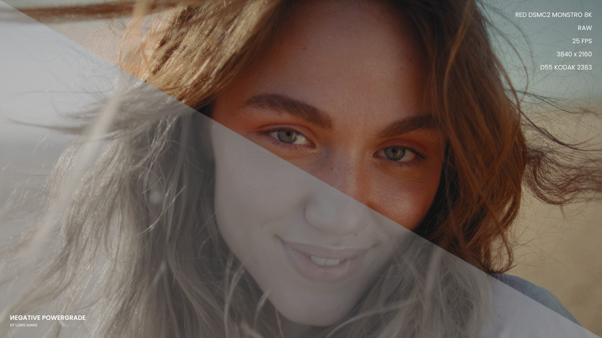 Negative Powergrade 多品牌相机兼容柯达5219胶片模拟预设 Loris Marie达芬奇调色节点专业电影LUT