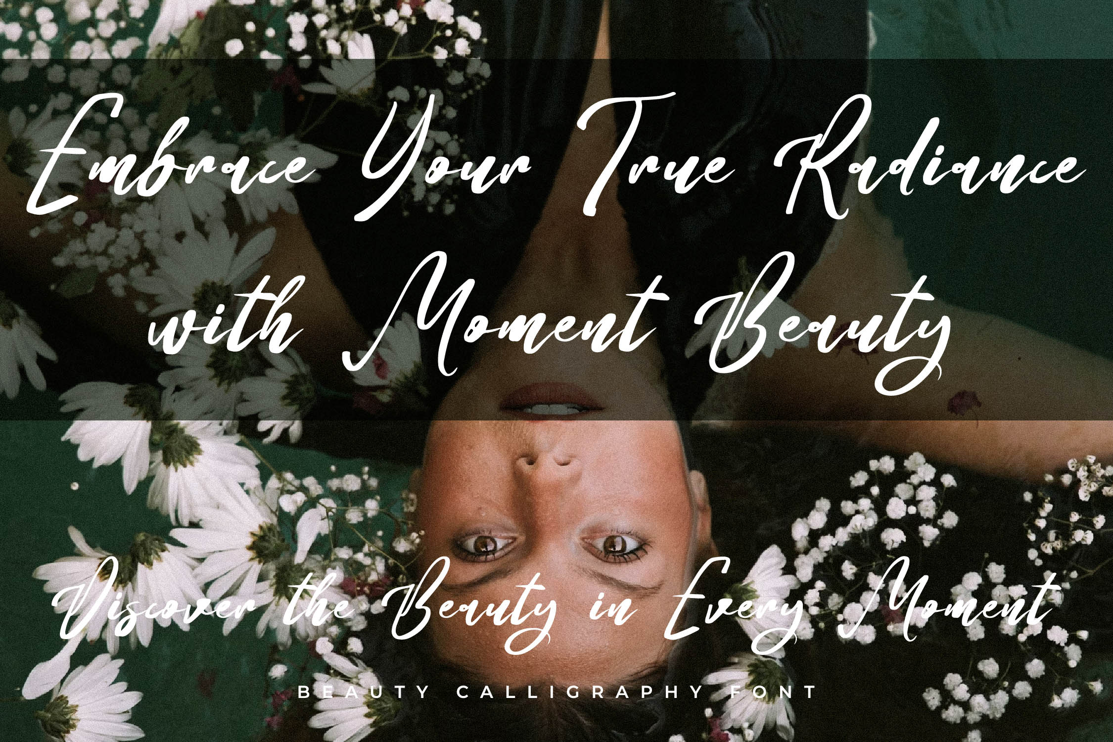 Lucid Daisy可爱优雅手写字体 美妆书法风格字体包otf/ttf