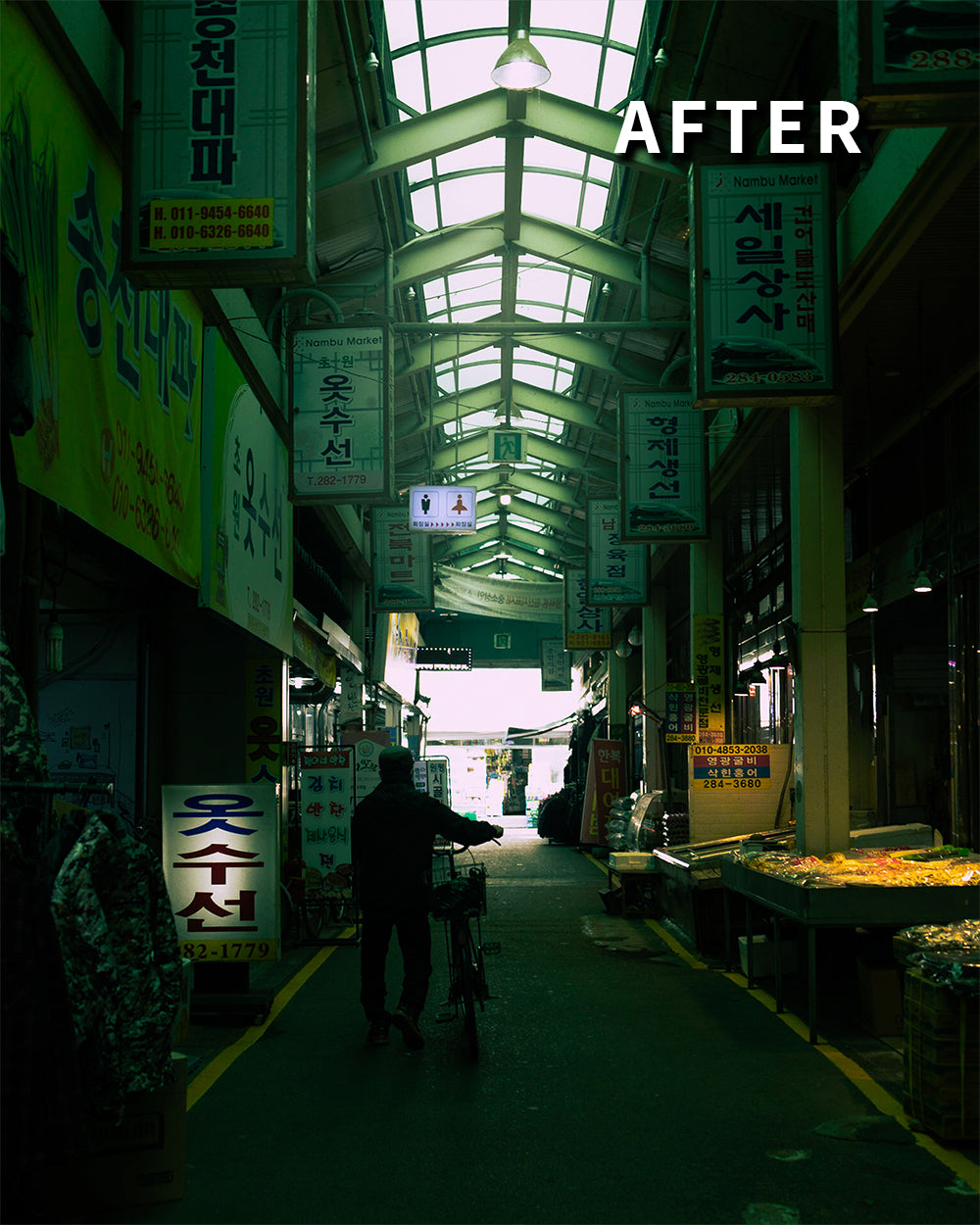 Aurelius大师套装 200款LUTs+125款预设 支持PR/达芬奇/FCPX 影视级视频照片调色全集