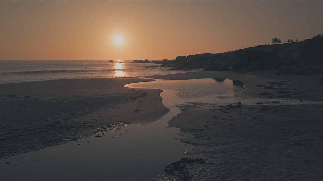 SpectrumGrades X-LAB Mavic专用胶片调色预设 5款精选电影感色彩 专为D-Cinelike优化 Specialized Film Color Looks