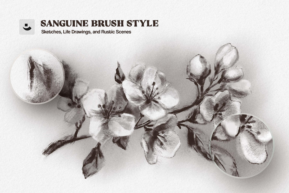 炭笔素描笔刷套装 Charcoal Brushes 10支+涂抹混色 纸纹质感 JPG PS Procreate Multi-App Charcoal Sketch Brushes