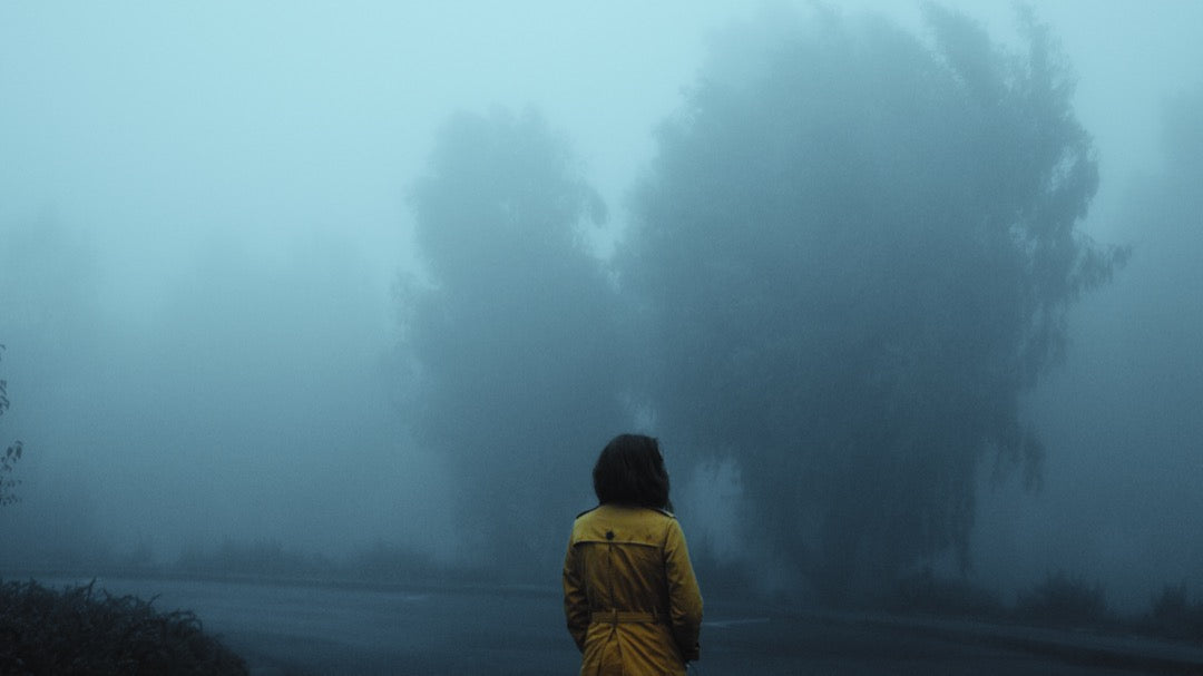 电影调色LUT预设 好莱坞复古风格LR预设包 GradeFruit 15款达芬奇PR/FCPX/剪映通用 Movie Looks LUTs & LR Presets