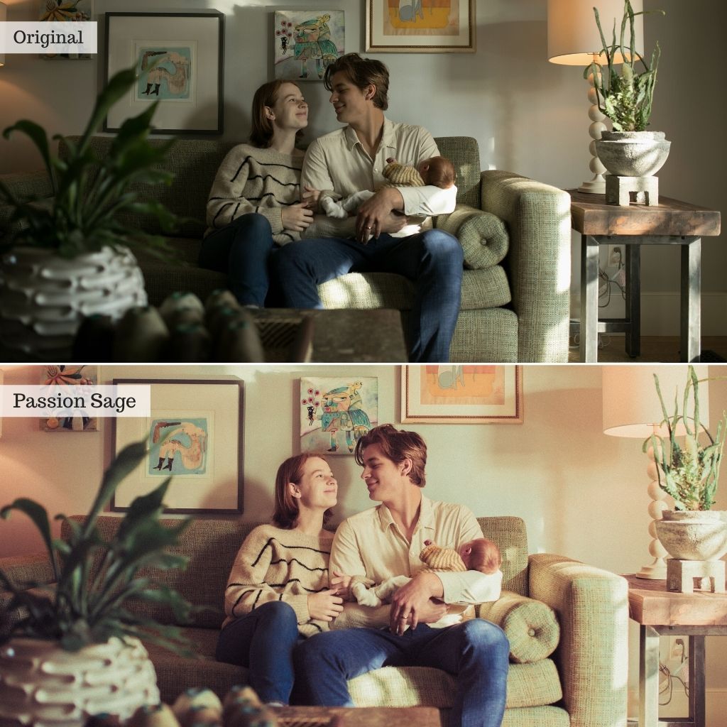 爱情故事奶油色Lightroom预设 24款浪漫怀旧色调 春季情侣婚纱摄影调色滤镜 The Luxe Lens - Love Story Lightroom Presets - Desktop & Mobile