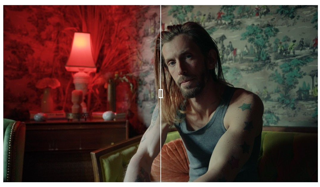 GAMUT X88电影感LUT调色合集 6款专业胶片模拟预设 丰富绿色与精准肤色 LUT Collection