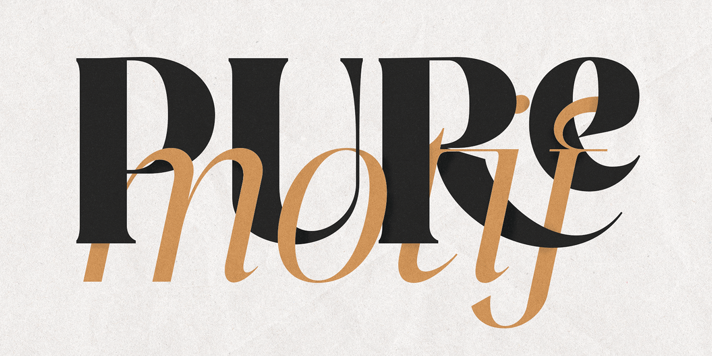 Pure Motif精致衬线字体家族18款字重 高对比优雅适合高端品牌包装编辑设计OTF/TTF MyFonts - Pure Motif Font Family - 18 Fonts