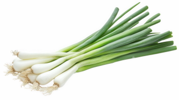 绿叶蔬菜免扣PNG素材52张 高清透明背景健康饮食食谱设计电商详情页配图