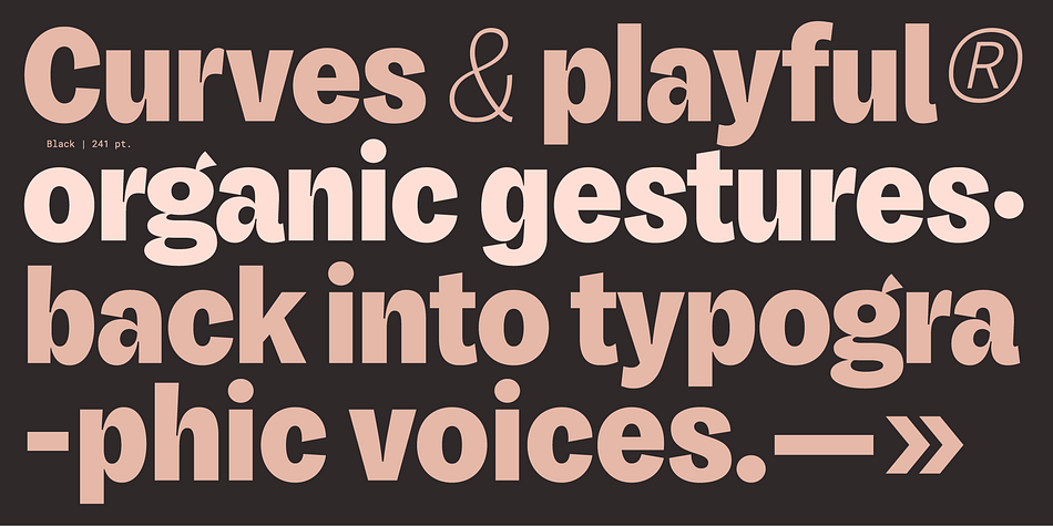 Honesta 人性化气息展示字体 12风格含真斜体可变字体 夸张对比棱角端部现代排版设计 Honesta Font Family 12xOTF