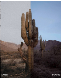 Envijon Vintage复古照片综合包 含6款LR预设/电影边框/尘痕叠加/胶片颗粒/燃烧特效 Vintage Photo Pack