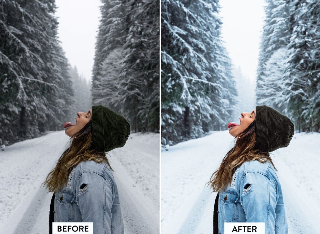 冷冬风格Lightroom预设 10款LRTEMPLATE XMP DNG 冬季雪景节日博主圣诞摄影调色 Filtergrade - Cold Winter Lightroom Preset