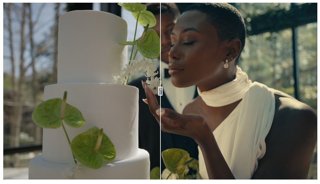 GAMUT X88电影感LUT调色合集 6款专业胶片模拟预设 丰富绿色与精准肤色 LUT Collection