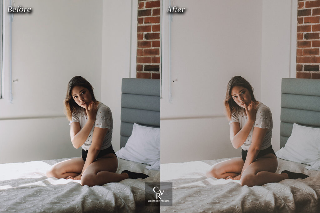 Filtergrade - 复古电影Lightroom预设