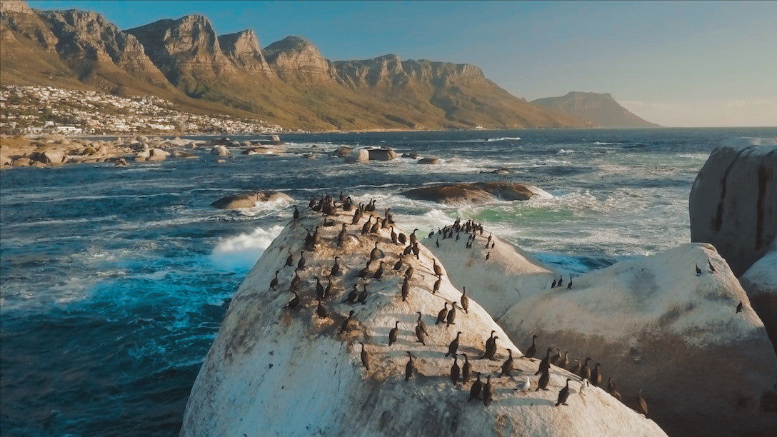 SpectrumGrades X-LAB Mavic专用胶片调色预设 5款精选电影感色彩 专为D-Cinelike优化 Specialized Film Color Looks